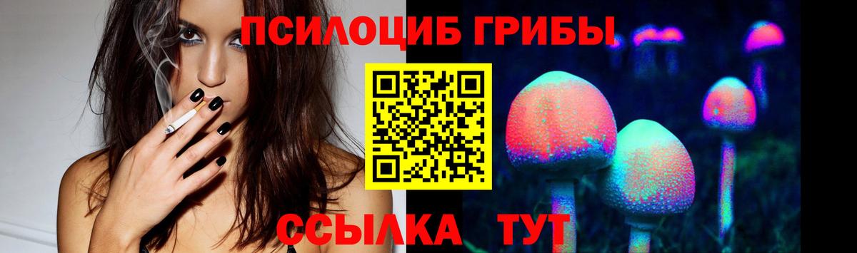 Губаха  магазин продажи наркотиков  Вход с VPN  Псилоцибиновые грибы мухоморы 